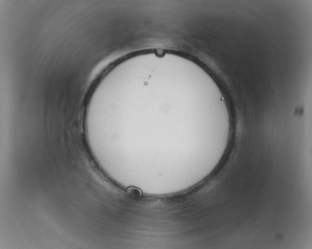 X0000113751222200910211139