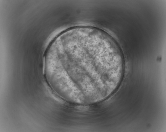 X0000113751223200910211139