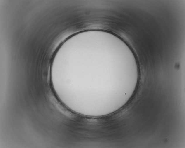 X0000113751227200910211139