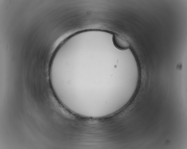 X0000113751230200910211139