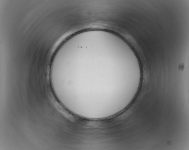 X0000113751232200910211139