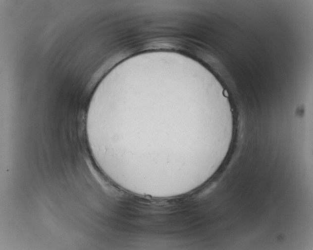 X0000113751233200910211139