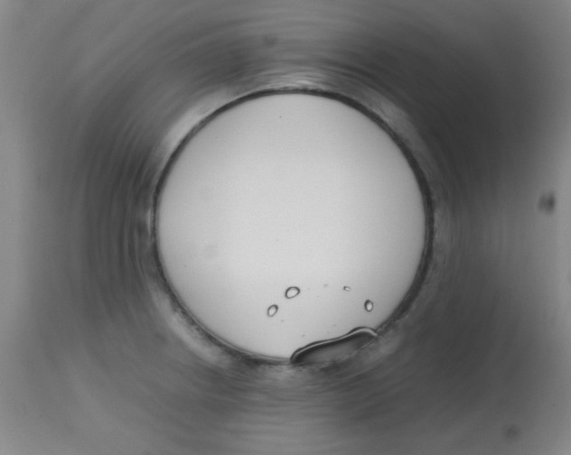 X0000113751234200910211139