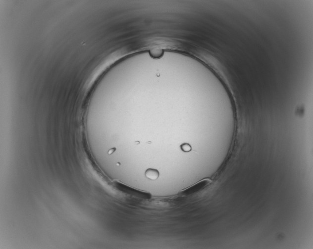 X0000113751235200910211139