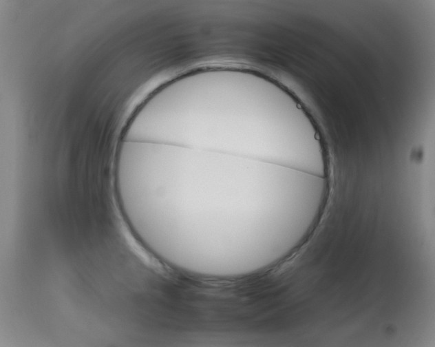 X0000113751237200910211139