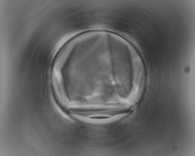 X0000113751239200910211139