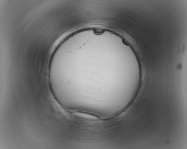 X0000113751240200910211139