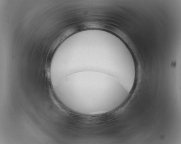 X0000113751241200910211139