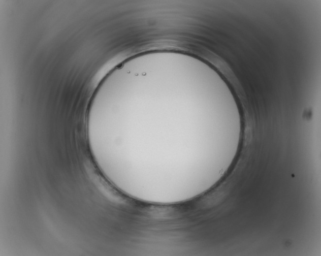 X0000113751242200910211139