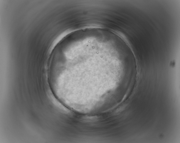 X0000113751243200910211139