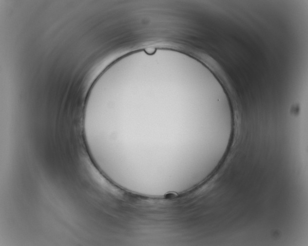 X0000113751244200910211139