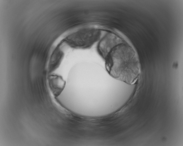 X0000113751245200910211139