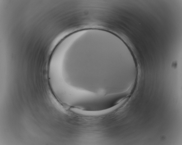 X0000113751246200910211139