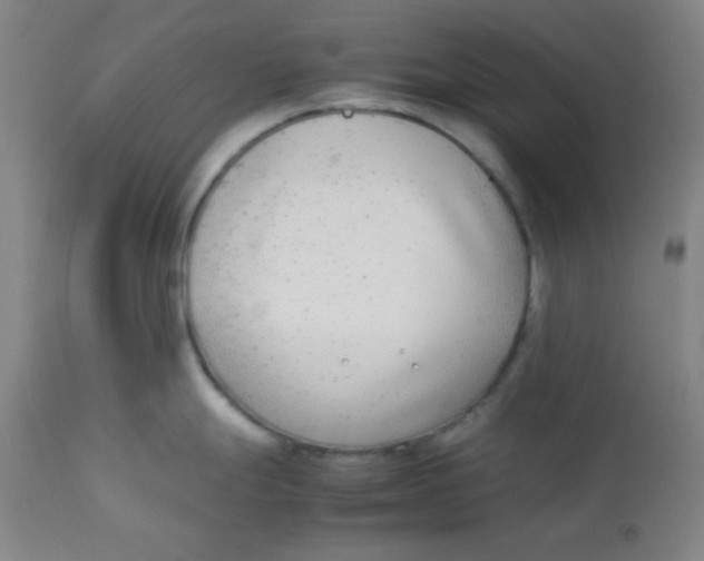 X0000113751247200910211139