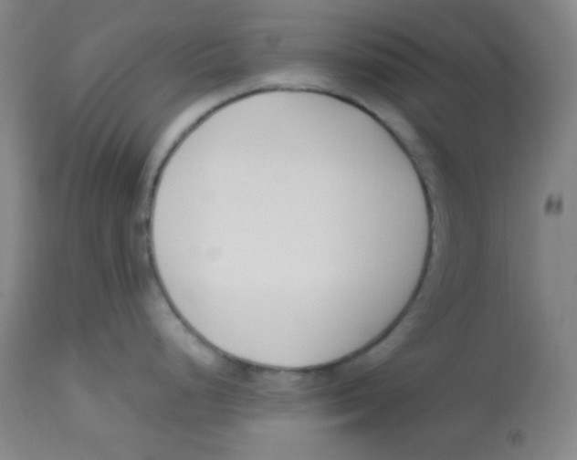 X0000113751248200910211139