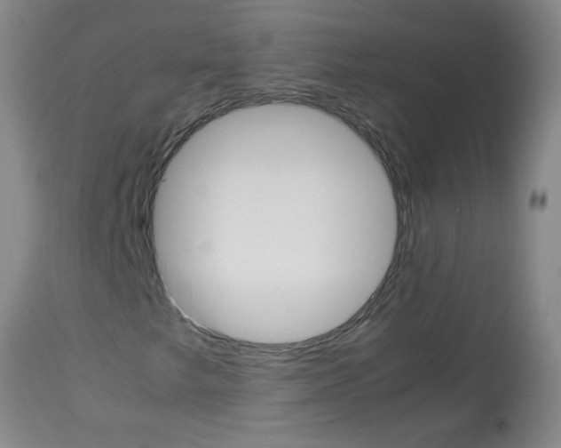 X0000113751249200910211139