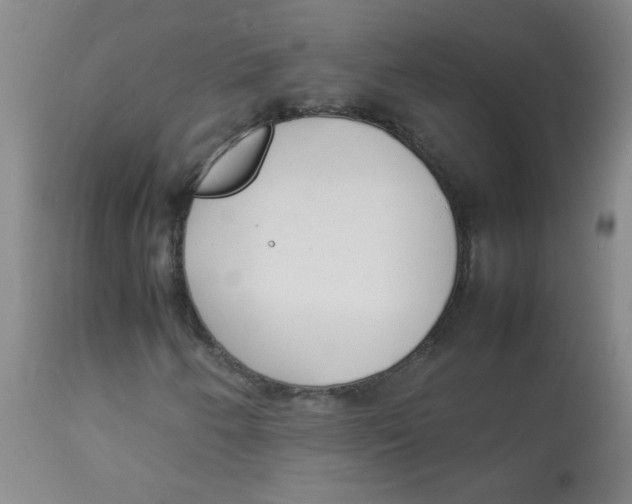 X0000113751250200910211139