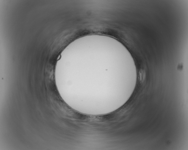 X0000113751251200910211139