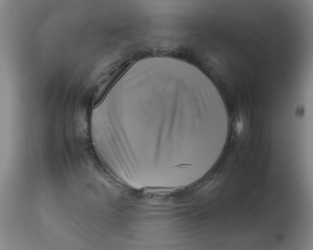 X0000113751252200910211139