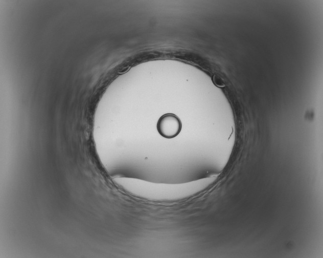 X0000113751253200910211139