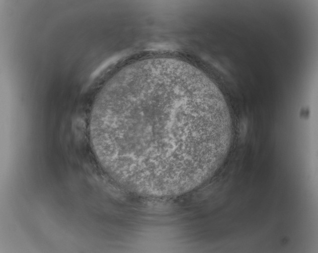 X0000113751254200910211139