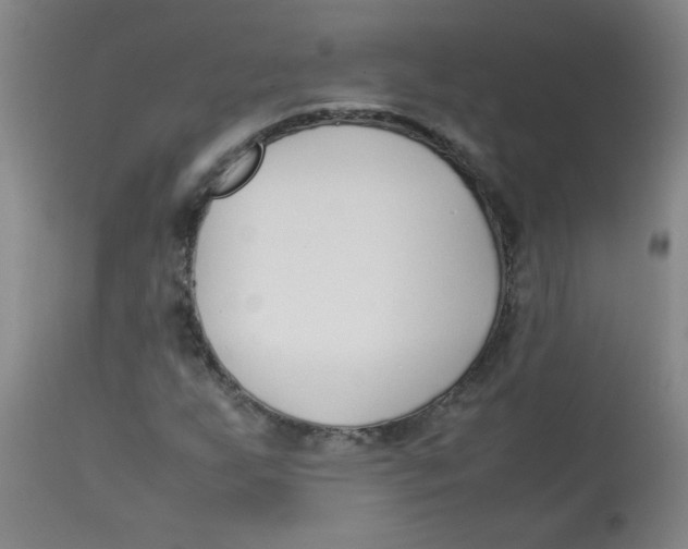 X0000113751255200910211139