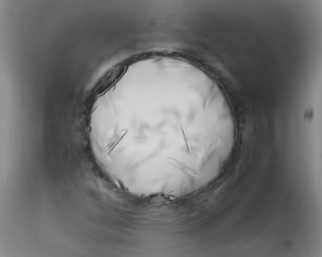 X0000113751256200910211139