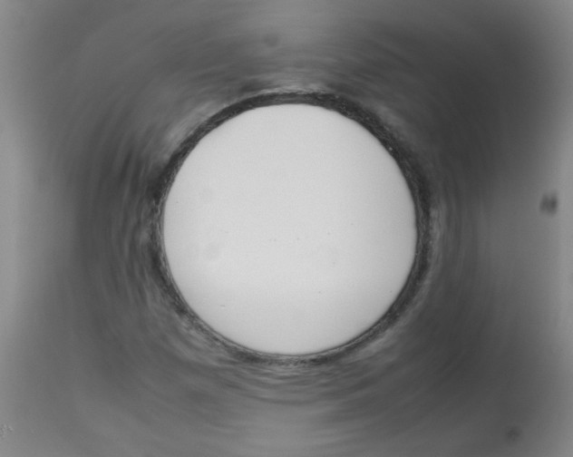 X0000113751257200910211139