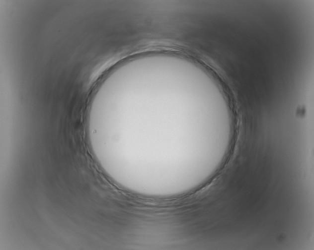 X0000113751261200910211139