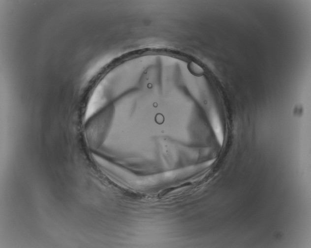 X0000113751263200910211138