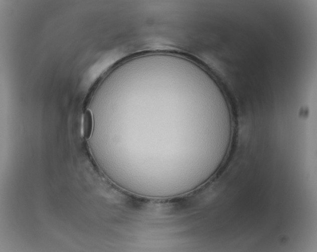 X0000113751269200910211138