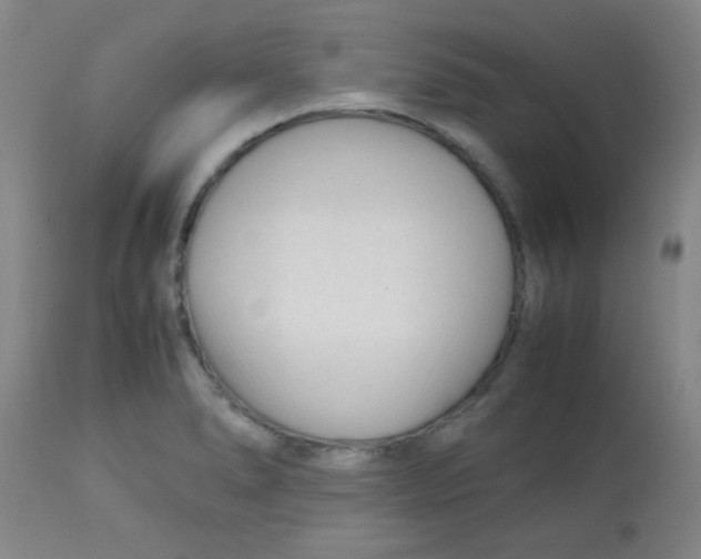 X0000113751278200910211138