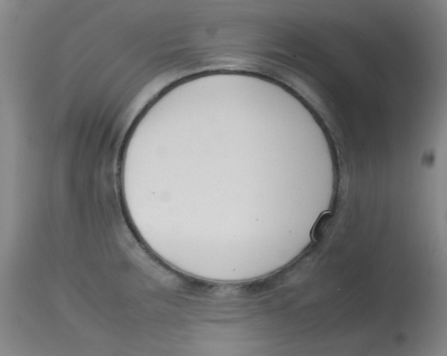 X0000113751283200910211138