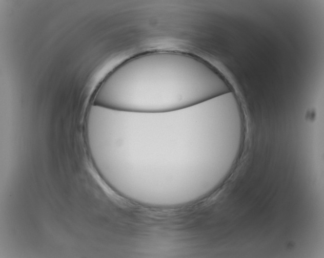 X0000113751285200910211138