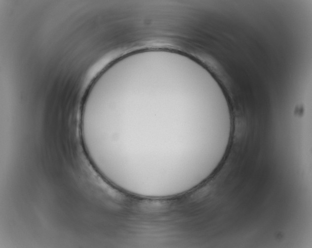 X0000113751286200910211138