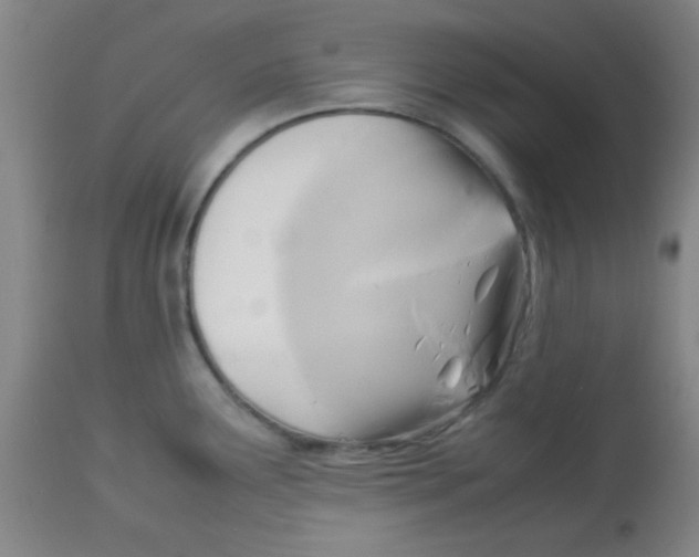 X0000113751291200910211138