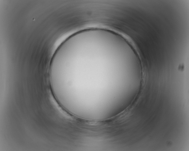 X0000113751295200910211138