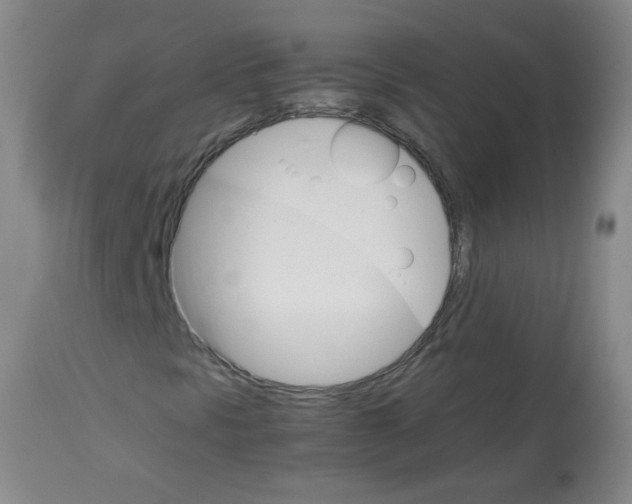 X0000113751297200910211137