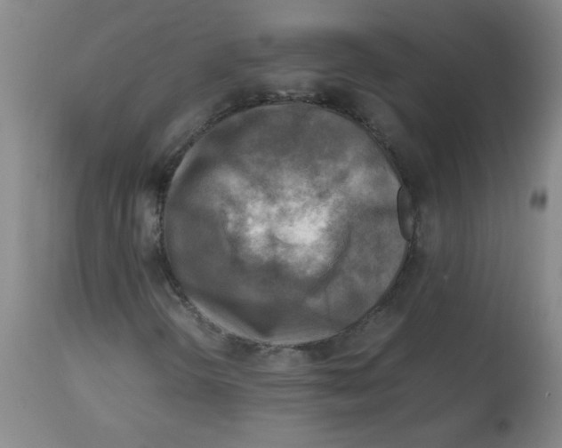 X0000113751298200910211137