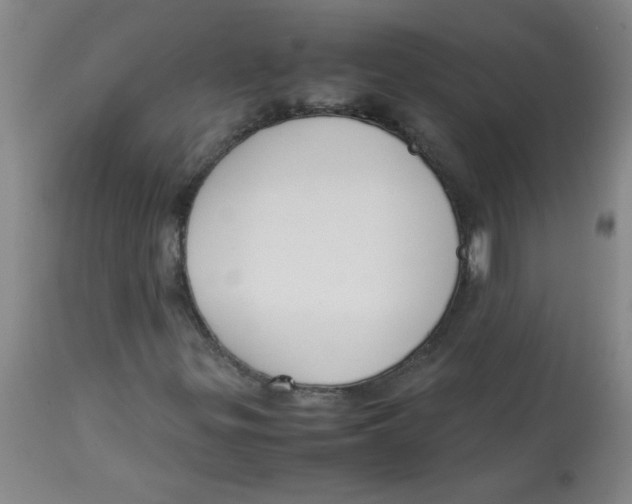 X0000113751299200910211137