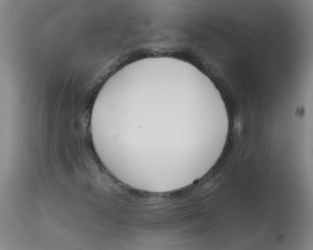 X0000113751300200910211137