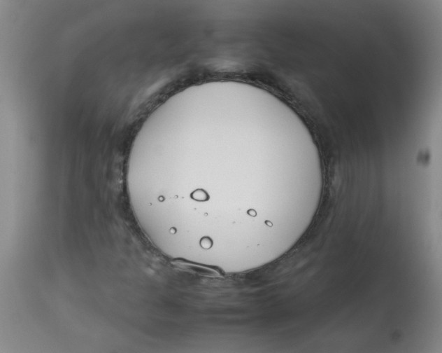 X0000113751301200910211137