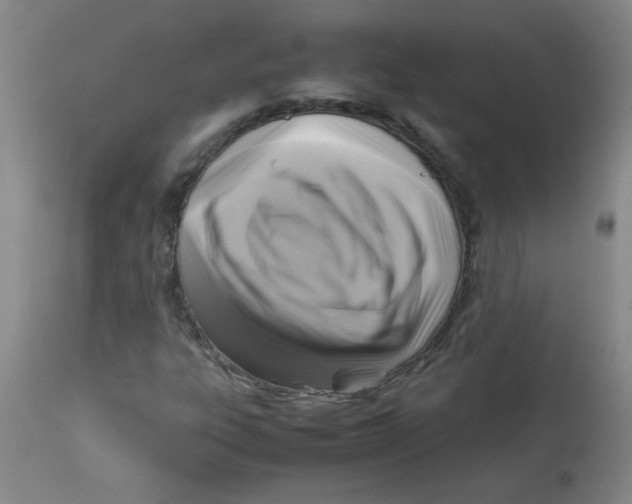 X0000113751303200910211137