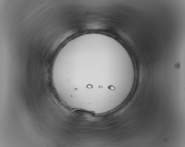 X0000113751305200910211137