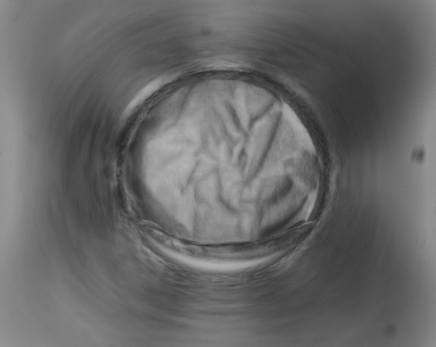 X0000113751306200910211138