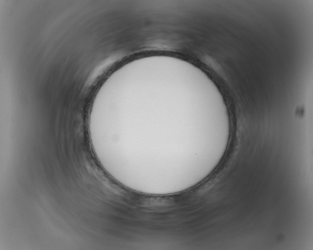 X0000113751307200910211138