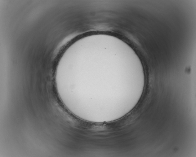 X0000113751315200910211138