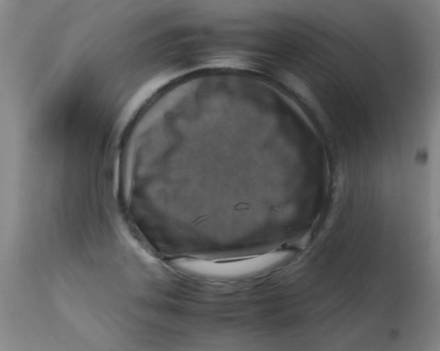 X0000113751323200910211138