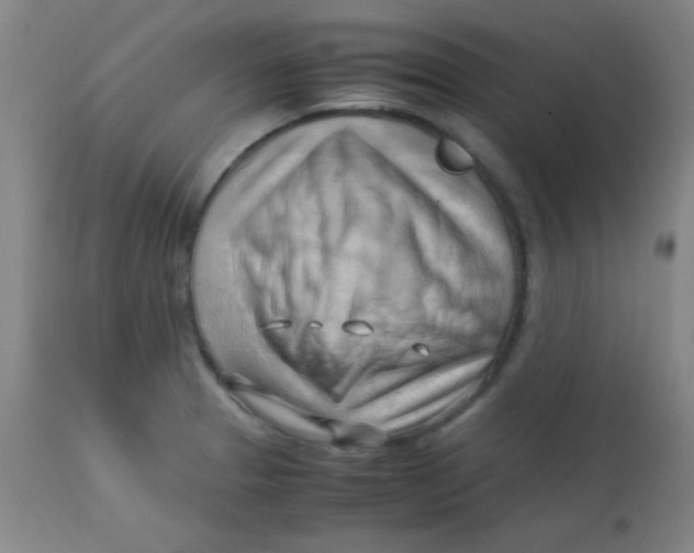 X0000113751329200910211138