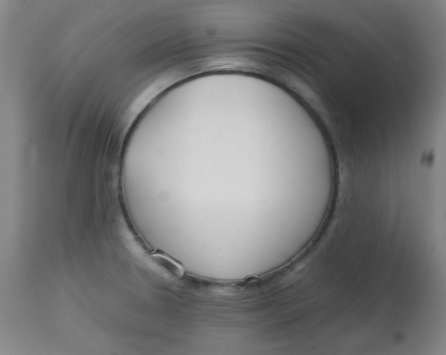 X0000113751330200910211138